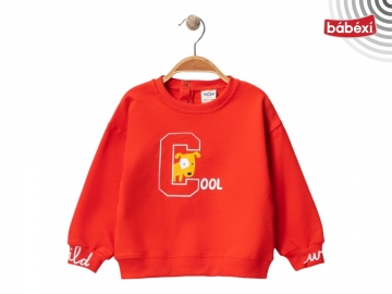 2 ip Cool Köpek Baskılı Erkek Sweat 9 Ay,12 Ay,18 Ay,2Y Erkek