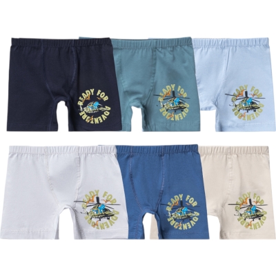 ERKEK BASKILI BOXER  3Y,2Y Erkek