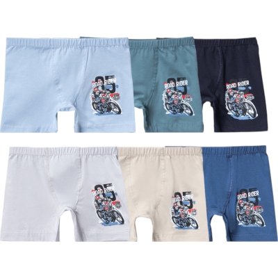 ERKEK BASKILI BOXER 4Y,5Y Erkek