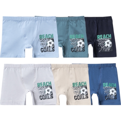 ERKEK BASKILI BOXER 6Y,7Y Erkek