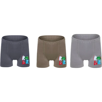 ERKEK ÇOCUK BASKILI BOXER 10Y,11Y Erkek