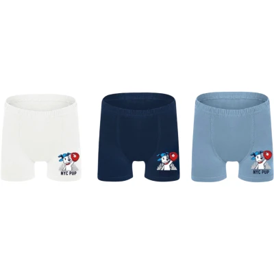 ERKEK ÇOCUK BASKILI BOXER 4Y,5Y Erkek