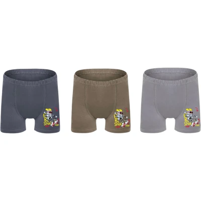 ERKEK ÇOCUK BASKILI BOXER 4Y,5Y Erkek