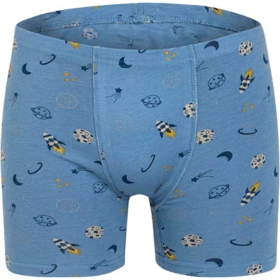 ERKEK ÇOCUK GARSON DESENLİ BOXER  12Y,13Y Erkek