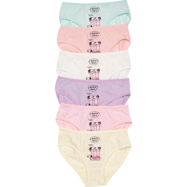 Kız Baskılı Slip 3Y,2Y Kız