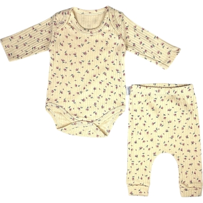 RAPORLU ÇITIR ÇİÇEK BODYLİ 2Lİ TAKIM  1 Ay,2 Ay,3 Ay,6 Ay,9 Ay Kız
