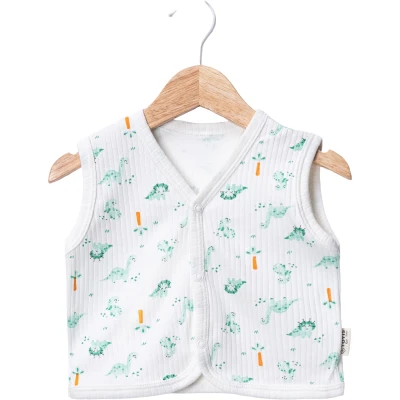 RAPORLU DİNO DESEN BEBE YELEK 6 Ay,9 Ay,12 Ay,18 Ay,2Y Erkek
