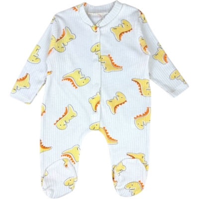 TARZ DİNOLAR BODYLİ 2Lİ TAKIM  1 Ay,2 Ay,3 Ay,6 Ay,9 Ay Erkek